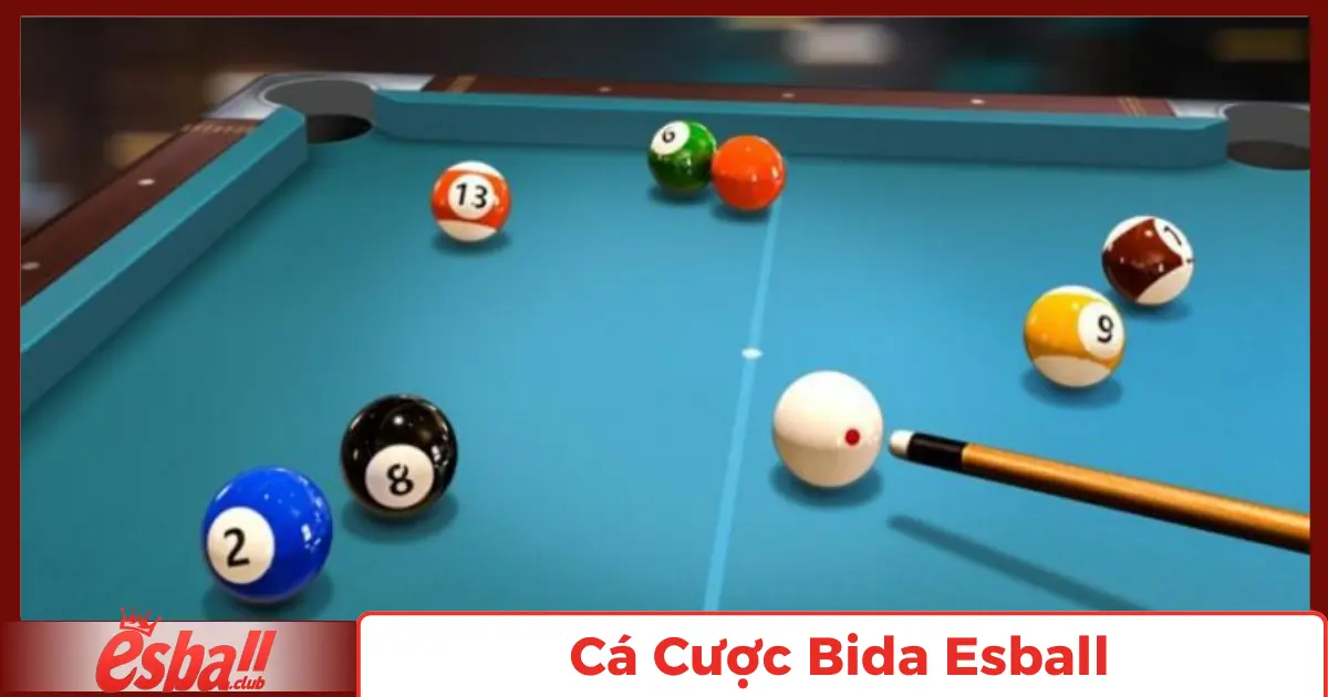 Cá Cược Bida Esball – Trải Nghiệm Cá Cược Mới Lạ 2 Cá Cược Bida Là Gì?