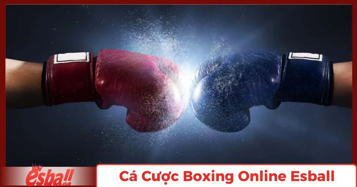 Cá Cược Boxing Online Esball – Đỉnh Cao Cá Cược Võ Thuật 2 Cá Cược Boxing Online Là Gì?