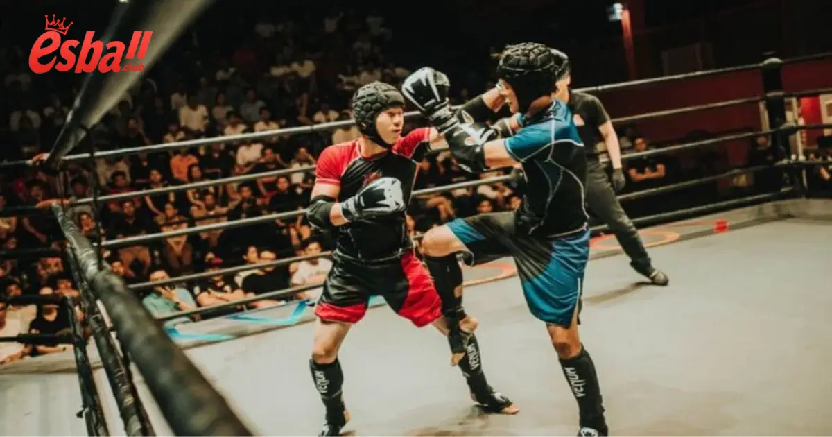Cá Cược Boxing Online Esball – Đỉnh Cao Cá Cược Võ Thuật 4 Các Hình Thức Kèo Boxing: Kèo Knockout, Điểm Số