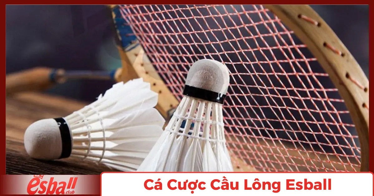 Cá Cược Cầu Lông Esball – Trò Chơi Thể Thao Hấp Dẫn 2 Cá Cược Cầu Lông Là Gì?