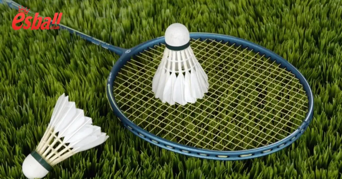 Cá Cược Cầu Lông Esball – Trò Chơi Thể Thao Hấp Dẫn 3 Các Loại Kèo Trong Cá Cược Cầu Lông