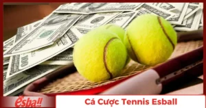 Cá Cược Tennis Là Gì?