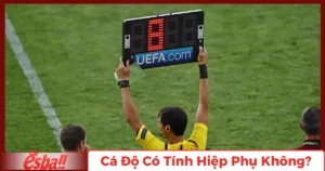 Cá độ có tính hiệp phụ không?