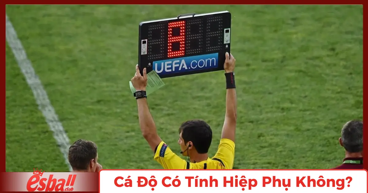 Cá Độ Có Tính Hiệp Phụ Không? Tìm Hiểu Cùng Esball 2 Cá độ có tính hiệp phụ không?