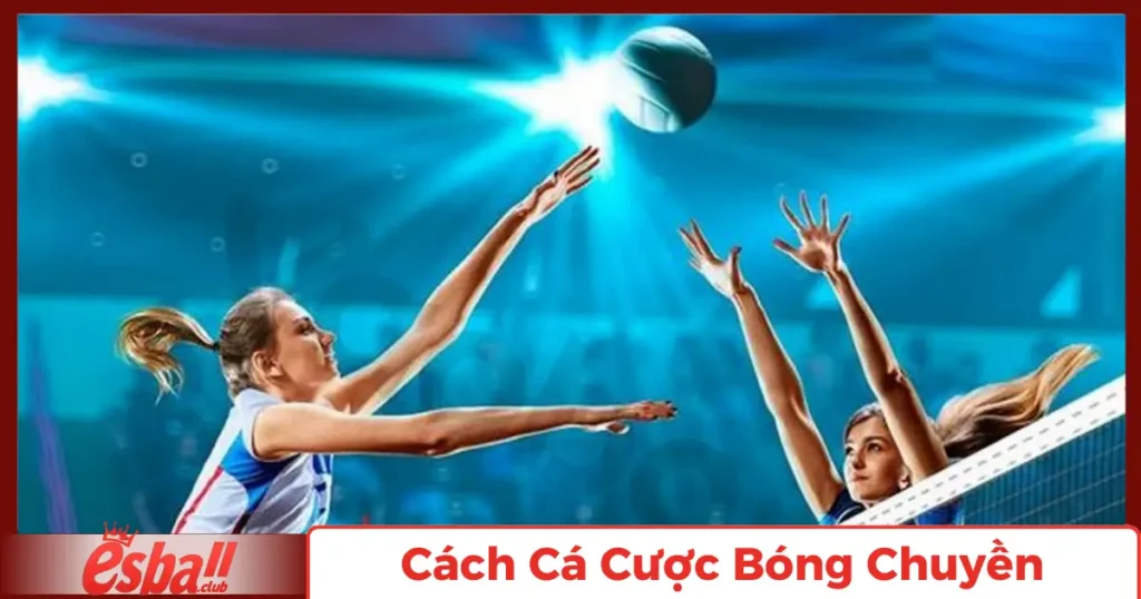 Cá Cược Bóng Chuyền Là Gì? Cách Cá Cược Bóng Chuyền