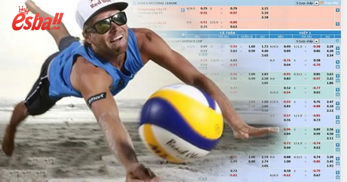 Cách Cá Cược Bóng Chuyền Esball – Chi Tiết Cho Người Mới 3 Các Loại Kèo Trong Bóng Chuyền