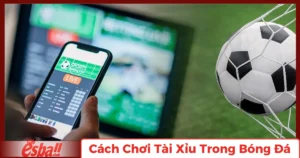Hướng Dẫn Cách Cá Cược Bóng Đá Tại Esball
