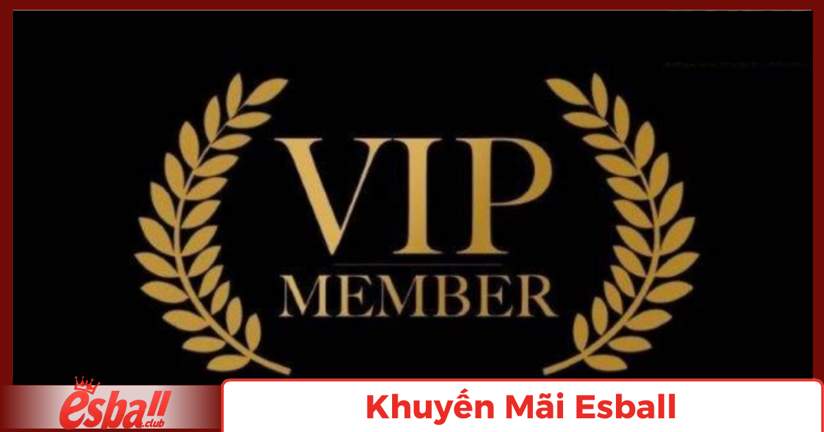 Sự khác biệt giữa thành viên thường và VIP